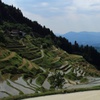 泉谷の棚田