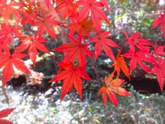 上水沿いにて