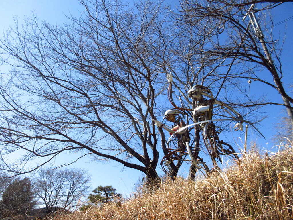 藤野町にて