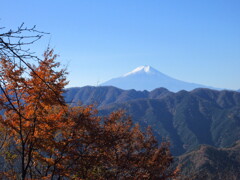 久し振りの富士山