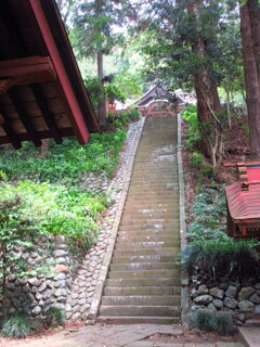 神社の石段