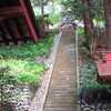 神社の石段