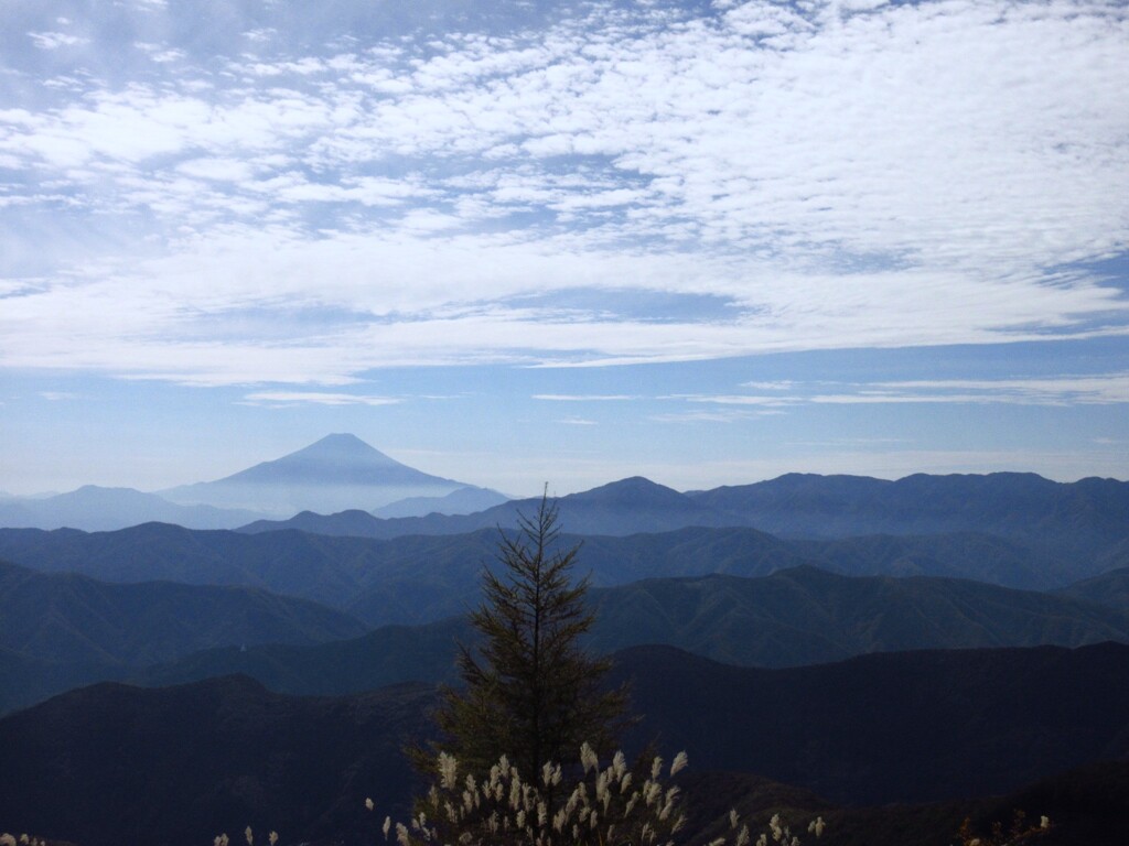 秋の雲