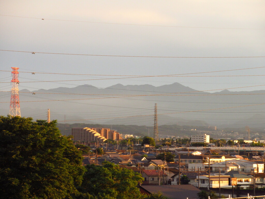 夕方の丹沢