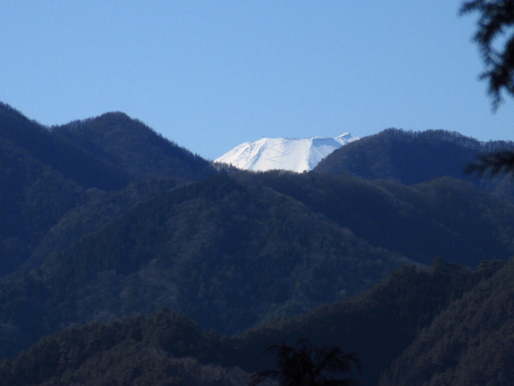 頭だけ