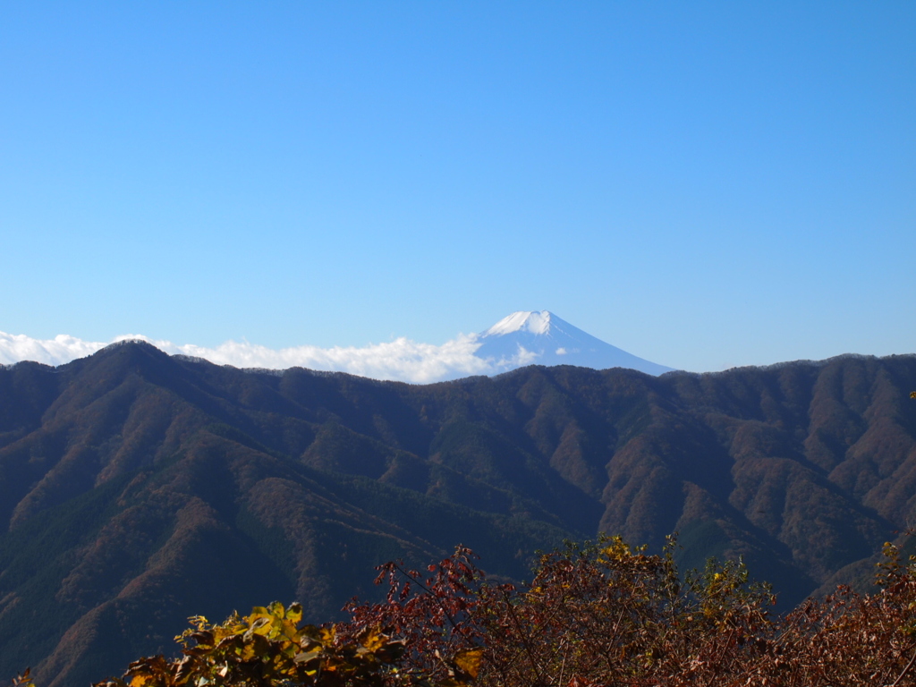 数馬峠にて