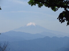 富士山