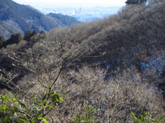小仏峠にて