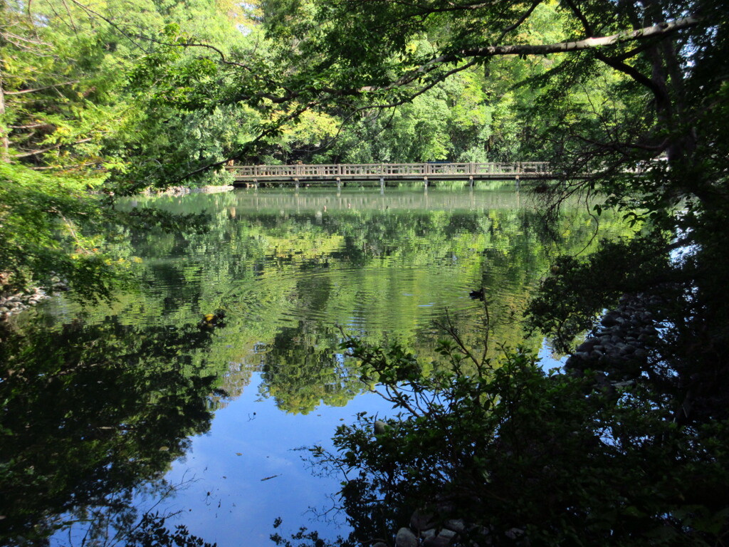 井の頭池