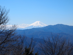 春富士