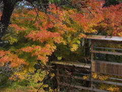 武蔵御岳神社にて