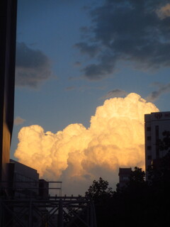 夕方の入道雲