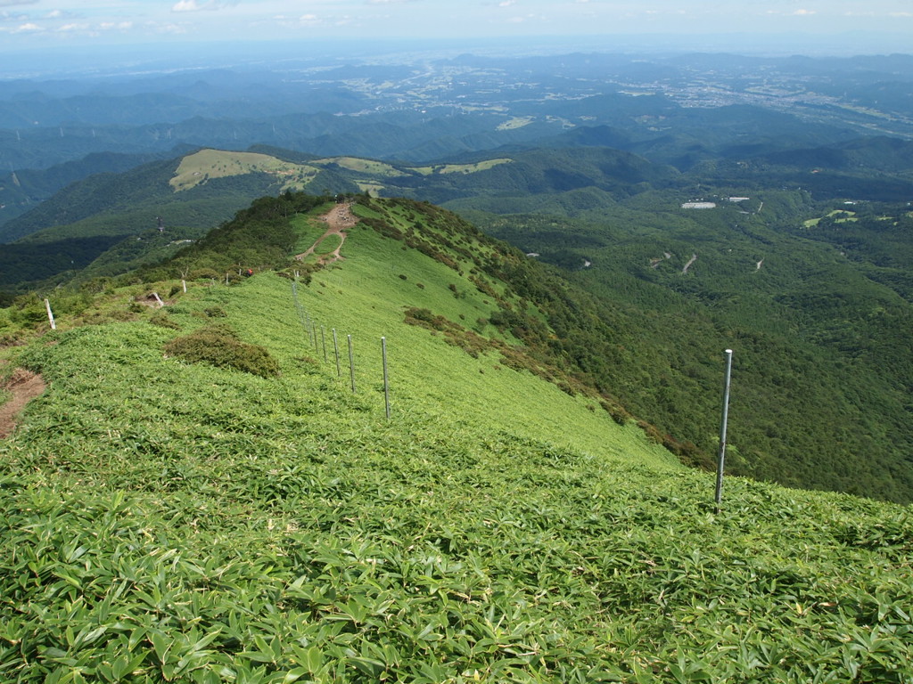 赤薙山への道