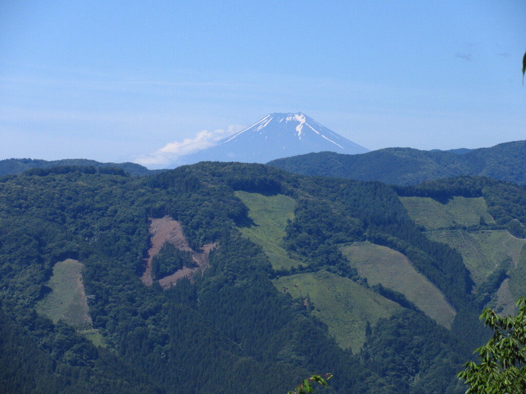 頭だけ