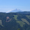 頭だけ
