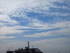 夏空