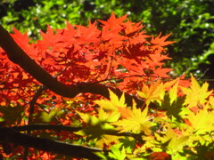 公園にて