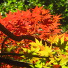 公園にて