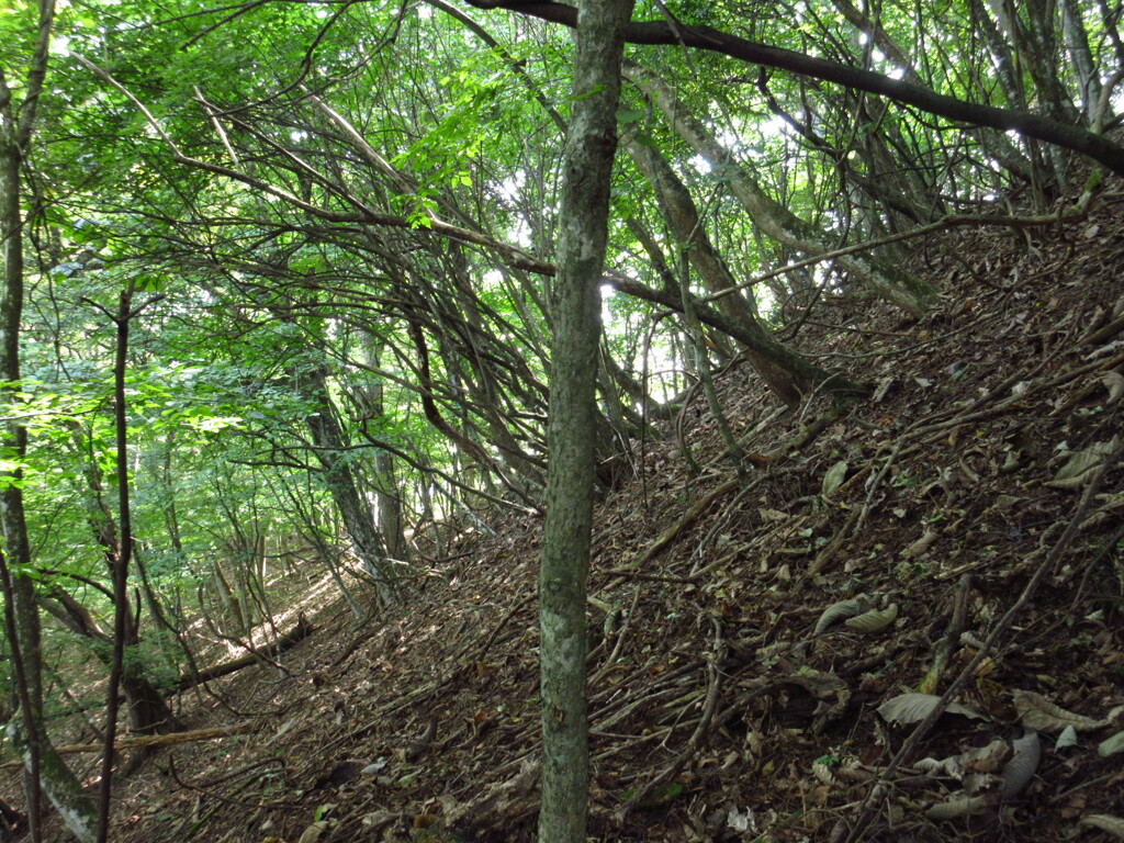 急斜面