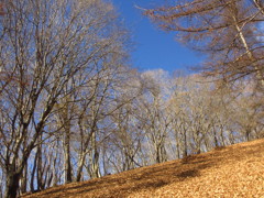 初冬の山道
