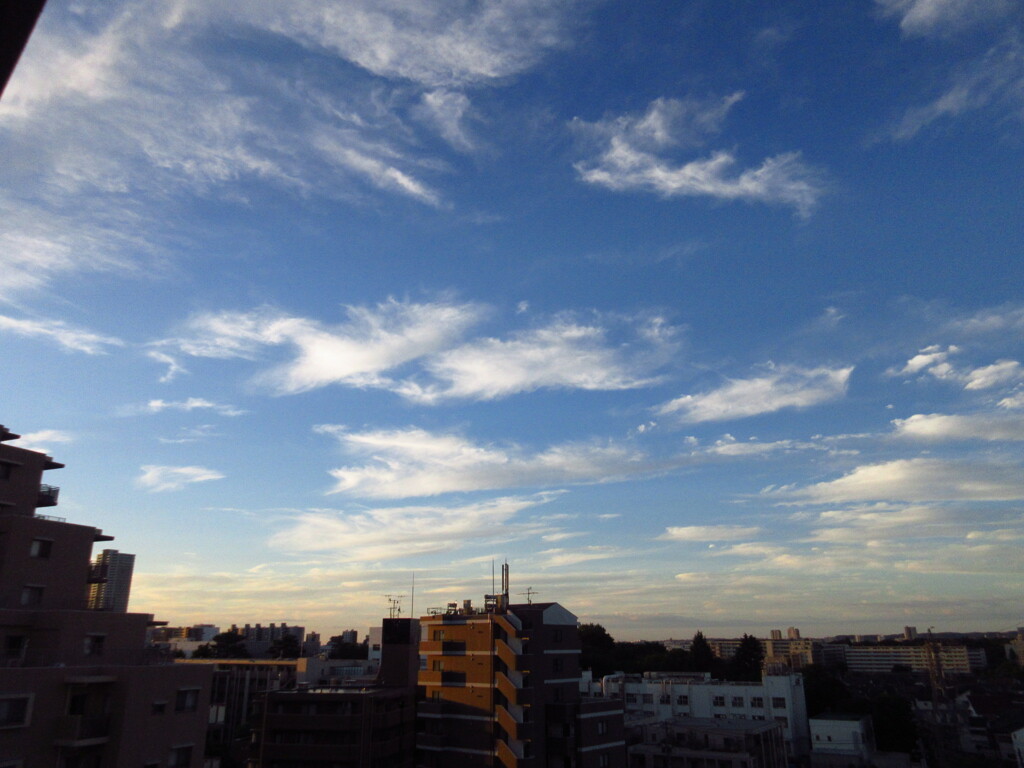 早朝の空