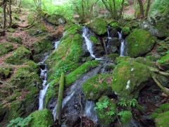沢