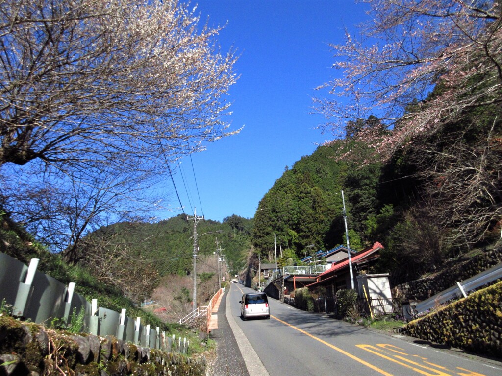都県境
