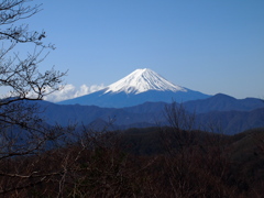 きれい