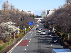 大通りと三角屋根