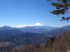 富士山