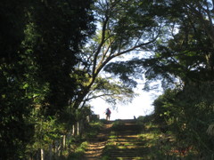 一丁平への階段道