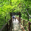 橋
