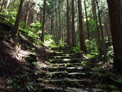 登山道