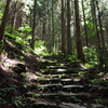 登山道