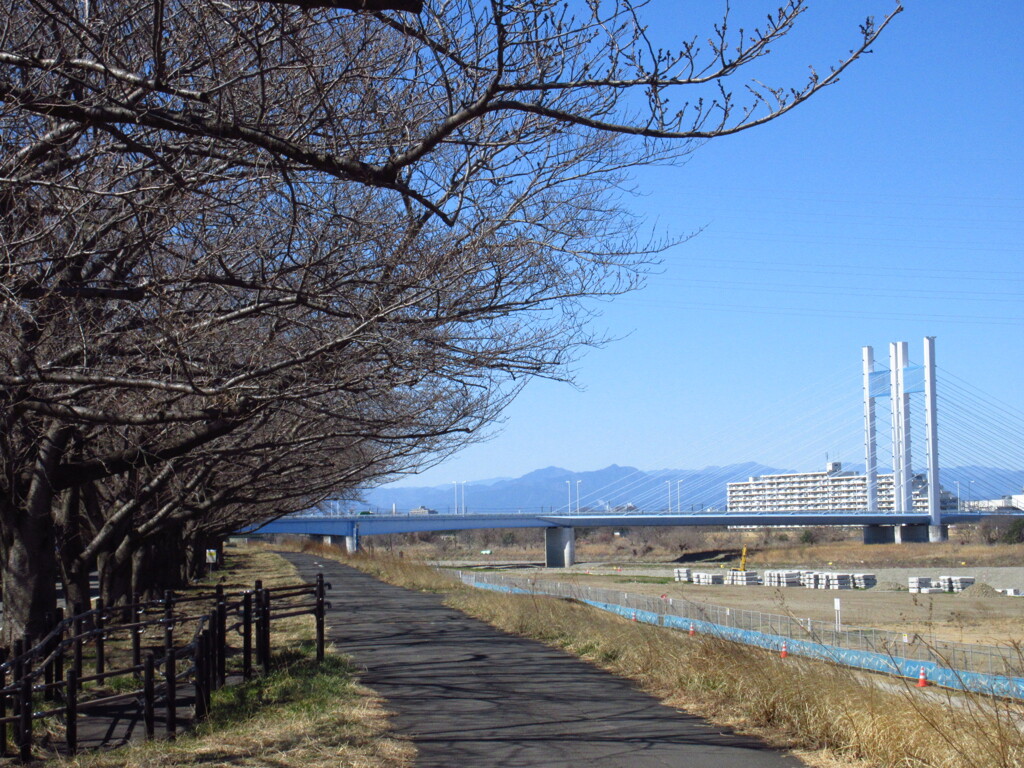 多摩川から大岳山