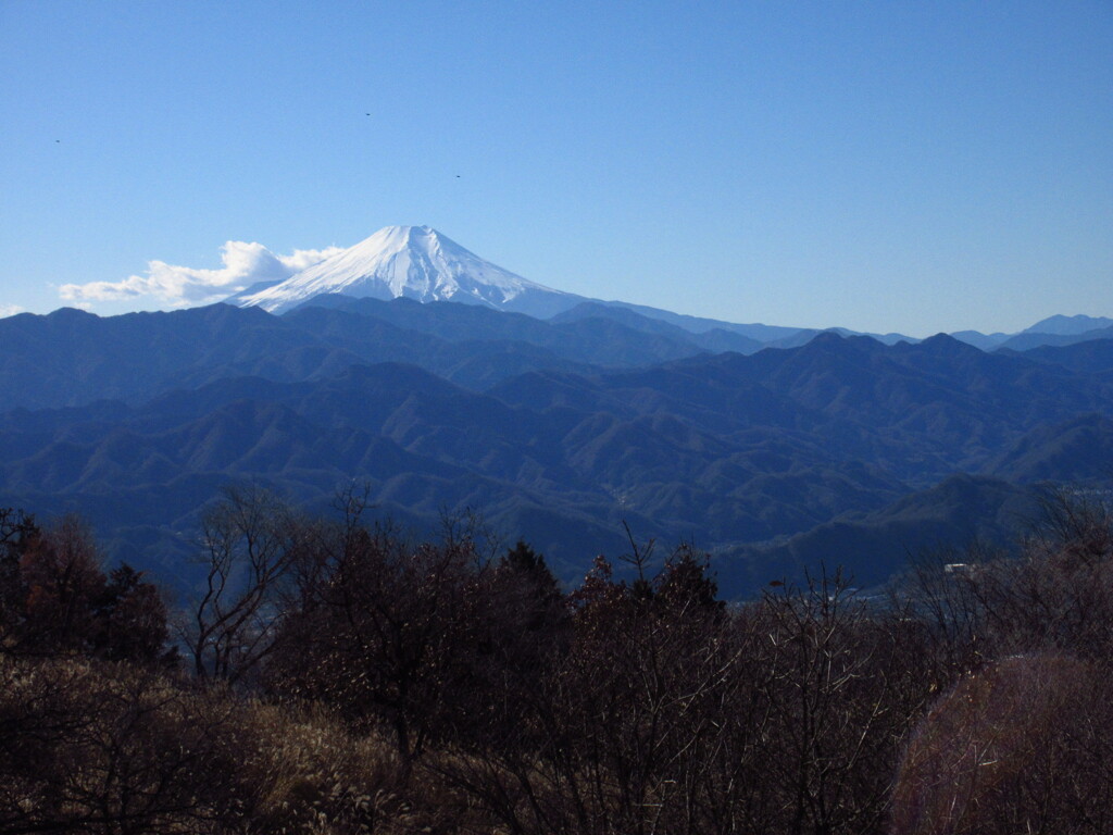 冬晴れ