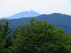 5月の富士山