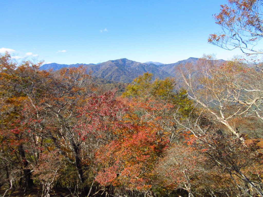 雲取山