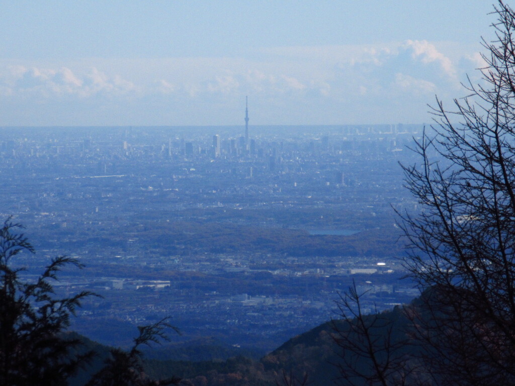 スカイツリー