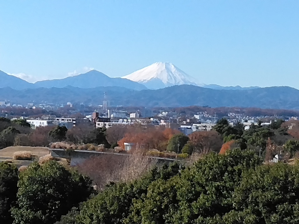 ビルの上から