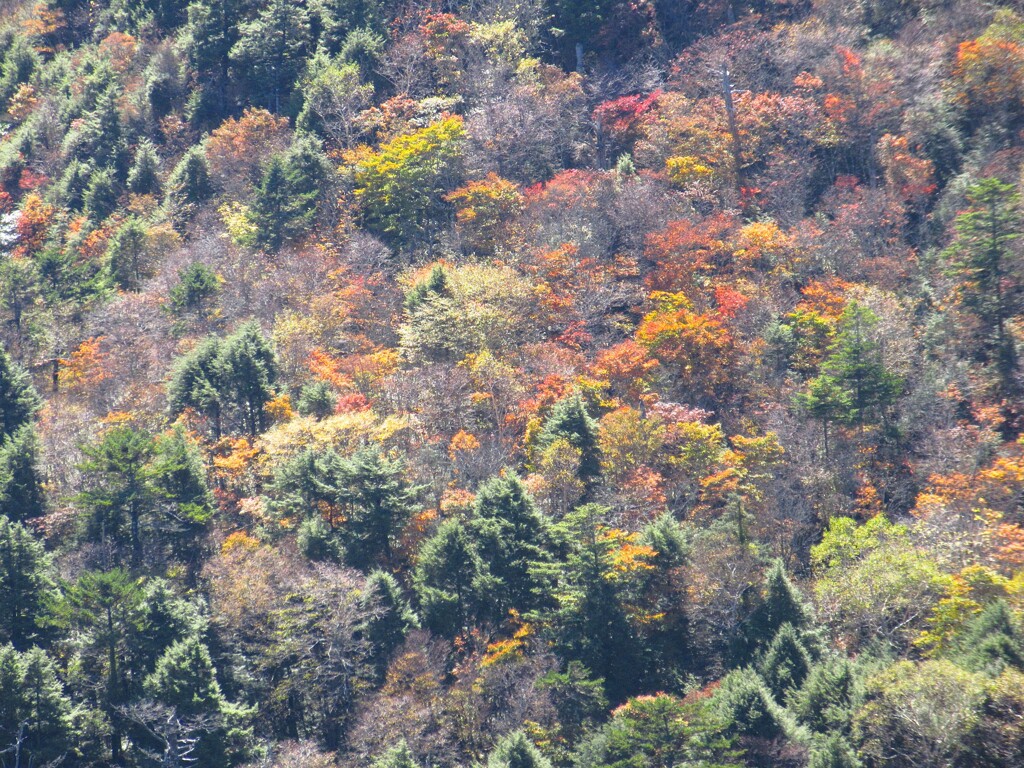 山腹