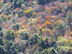 山腹