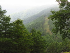 雲取山への石尾根