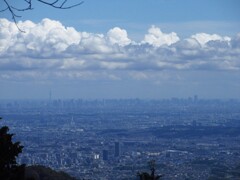 都心の晩夏