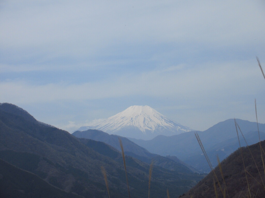 峠より