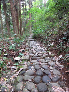 石畳の山道