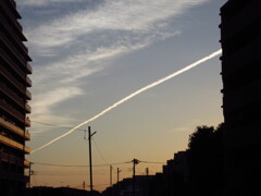 早朝の飛行機雲