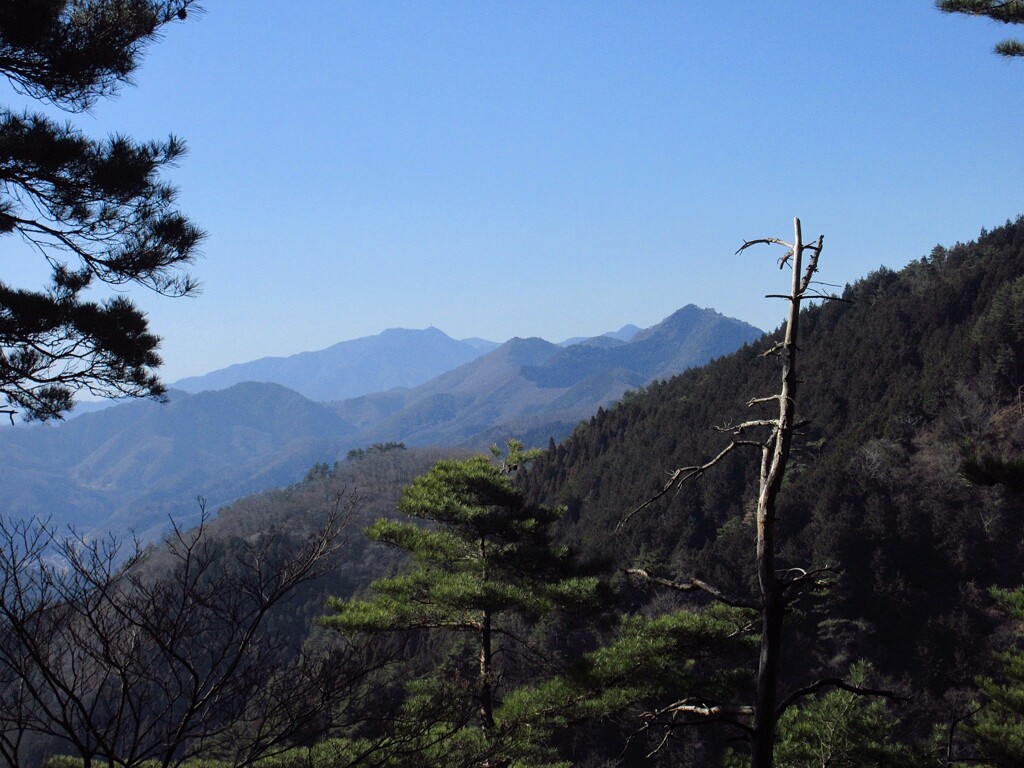 三ッ峠山遠望