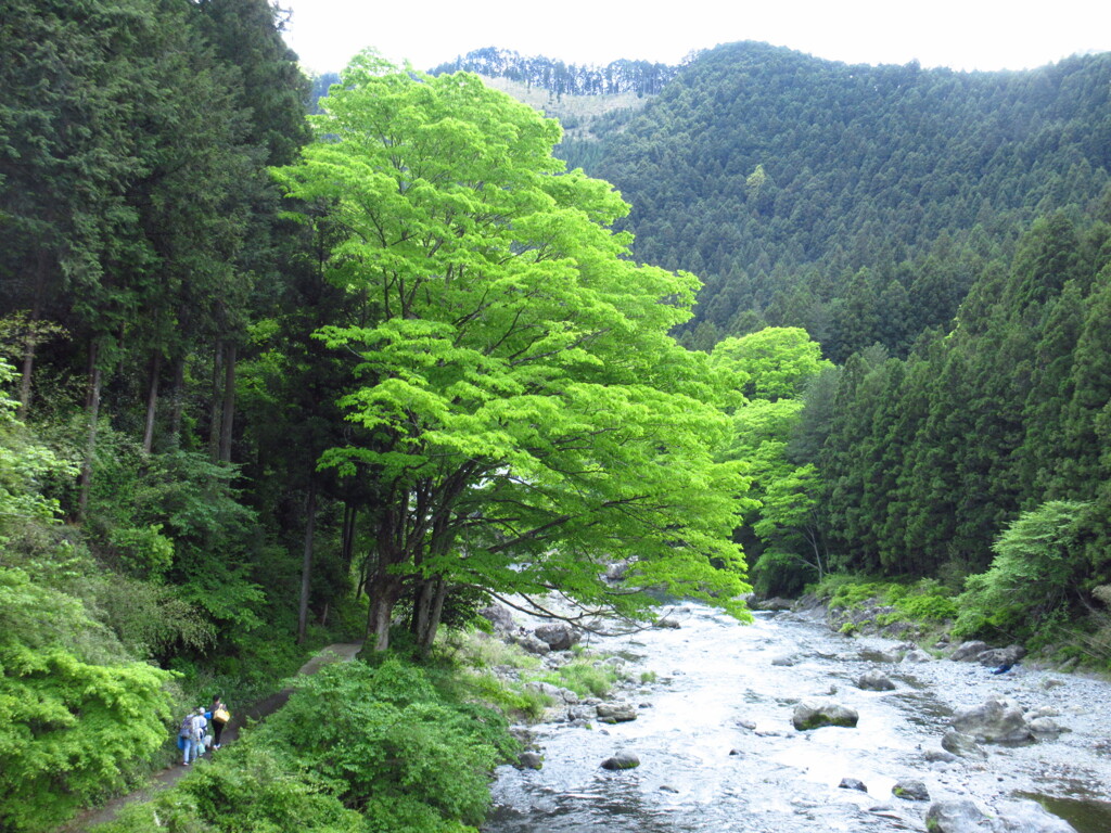 多摩川