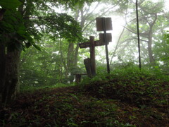 分岐
